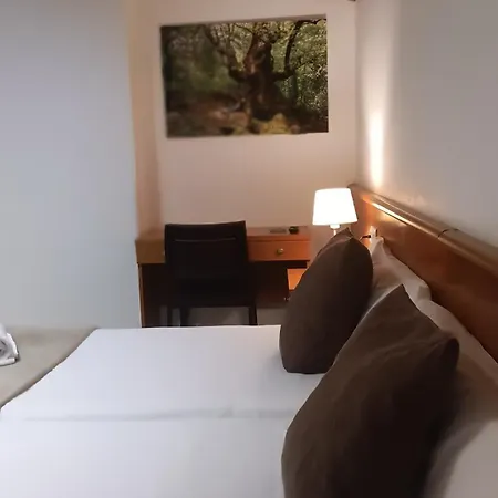 Alta Garrotxa Hotel 2*